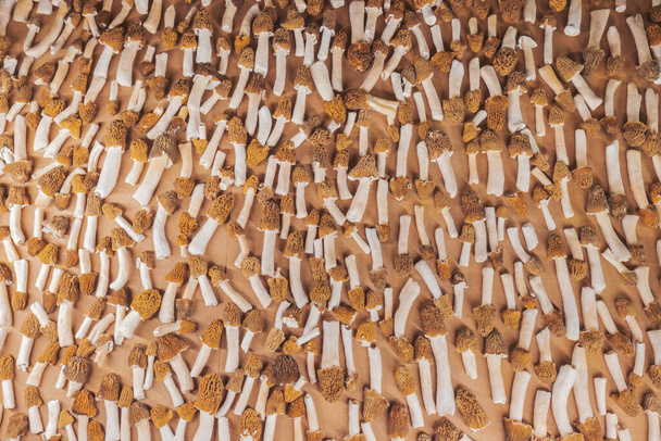 textura de cogumelos de morels espalhados em uma tábua - Foto, Imagem