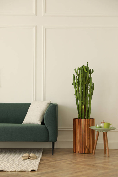 Stylish living room interior with beautiful potted cactus and modern furniture - Foto, Imagem