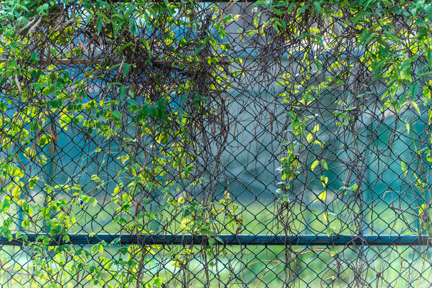 Zamazana siatka metalowa ogrodzenia z boiskiem do koszykówki - Zdjęcie, obraz