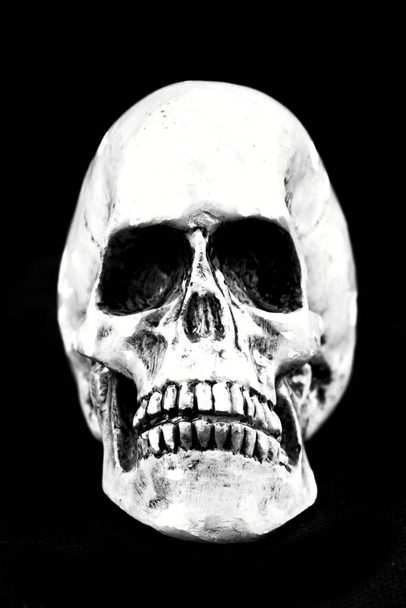 Παλιό ανθρώπινο λευκό κρανίο, συμπεριλαμβανομένων των δοντιών. Αυτό είναι ανθρώπινο κρανίο. Βρίσκοντας έναν ανθρώπινο σκελετό. - Φωτογραφία, εικόνα