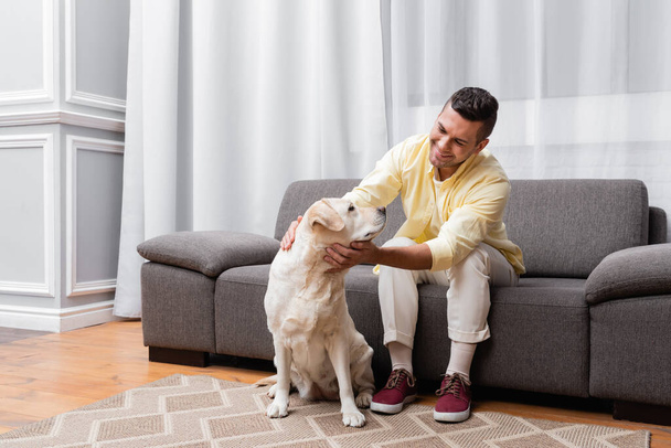 cheerful man sitting on couch and cuddling labrador dog - Photo, Image