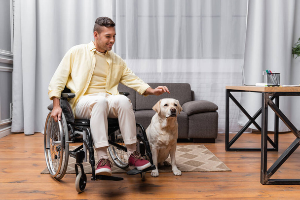 fiatal fogyatékos férfi ül tolószékben közelében labrador kutya otthon - Fotó, kép