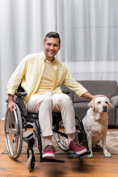 Labrador köpeğini okşarken kameraya gülümseyen tekerlekli sandalyedeki engelli adam. - Fotoğraf, Görsel