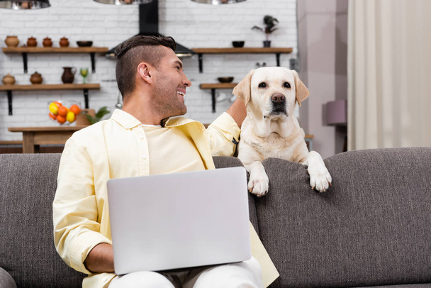 Λαμπραντόρ σκυλί κοντά χαρούμενη ελεύθερος επαγγελματίας κάθεται στον καναπέ με φορητό υπολογιστή - Φωτογραφία, εικόνα