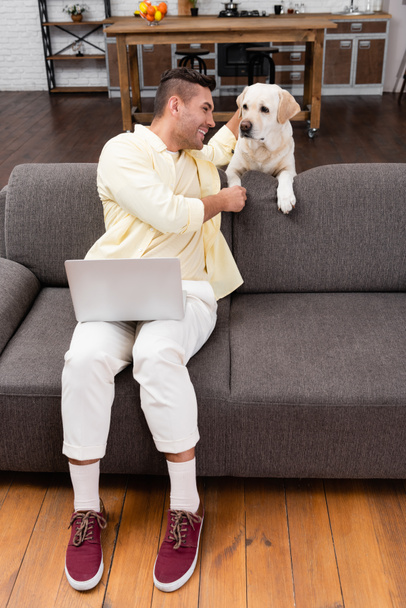 onnellinen freelancer silitti labrador koira istuessaan sohvalla kannettavan - Valokuva, kuva