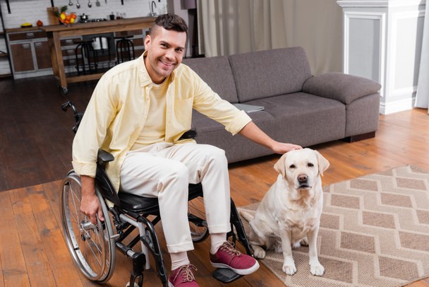 handicapped man petting labrador dog while sitting in wheelchair at home - Zdjęcie, obraz