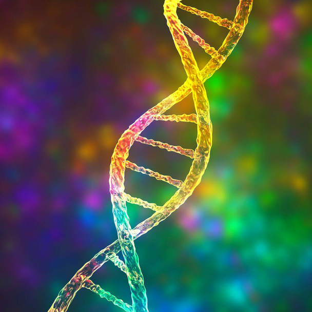 DNAの分子、二重らせん、 3Dイラスト。遺伝子治療、遺伝子変異および遺伝子疾患 - 写真・画像