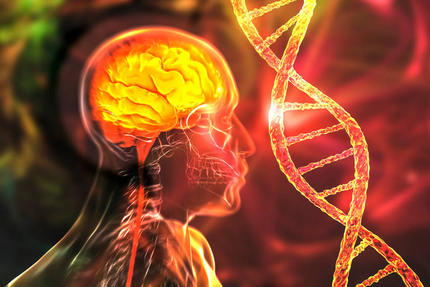Genetikai agyi rendellenességek, fogalmi 3D illusztráció. Az agyi betegségekhez vezető mutációk a DNS-ben. Neurogenetika, neurodegeneratív betegségek - Fotó, kép