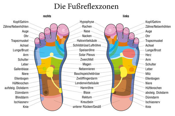 Foot reflexology chart german description - Vector, Image