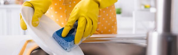 Cropped view of sponge and plate in hands of woman near kitchen sink, banner  - Foto, Bild