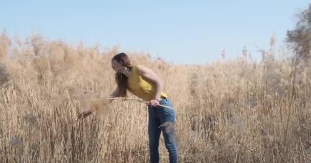 葦畑に干からびた黄色い葦を引き裂いた若い女性晴れた日青い空中映像スローモーション - 映像、動画