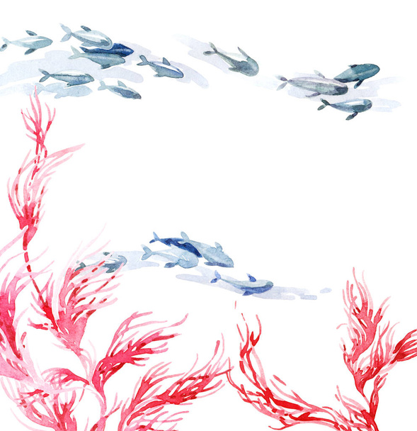 Акварельная иллюстрация морских водорослей и плавающих рыб - Фото, изображение