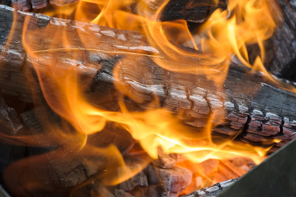 Burning wood, flame and smoke on a bonfire - Fotografie, Obrázek