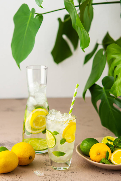Studená osvěžující limonáda ve sklenici se slámou, sklenice s plátky citronu a limetky, mátové listy a studená voda s ledem, Monstera květ v pozadí - Fotografie, Obrázek