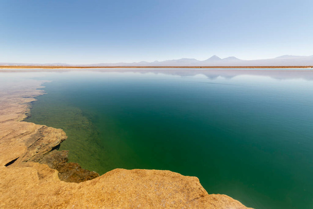 Widok na Laguna Lagoon Cejar na pustyni Atacama, Antofagasta, Chile - Zdjęcie, obraz
