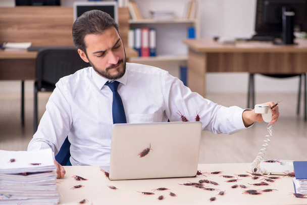 Young male employee and too many cockroaches in the office - Photo, Image