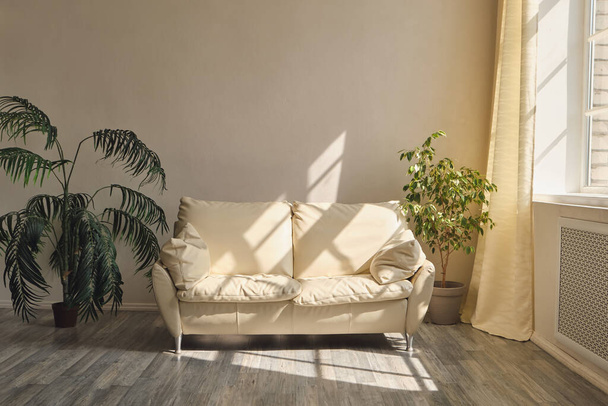 Habitación livilg limpia con sofá de cuero blanco, plantas de interior y luz de la mañana desde la ventana - Foto, Imagen