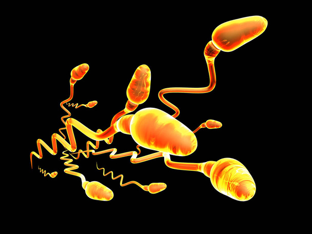 Spermien schwimmen in Richtung Eizelle - Foto, Bild