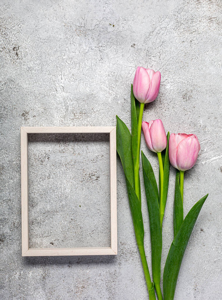 Fresh pink tulip flowers on ultimate gray wall - 写真・画像