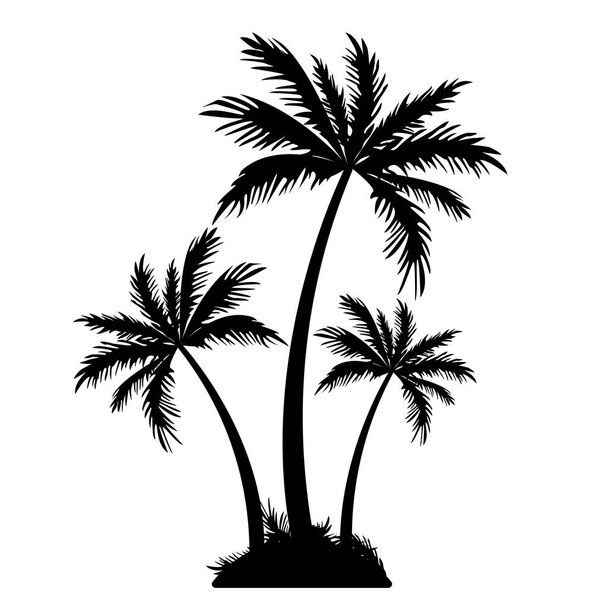 Realistic palm trees black silhouette. Tropical tree. Vacation and travel concept. Vector isolated on white - Vector, Image