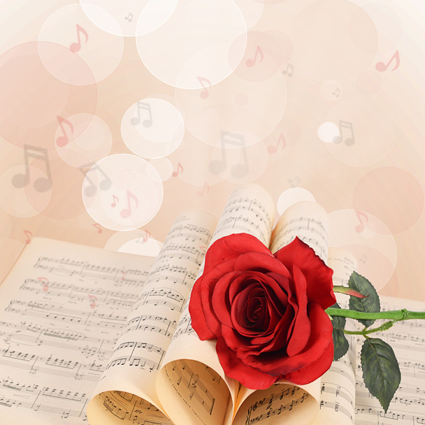 The rose on notebooks with notes - Zdjęcie, obraz