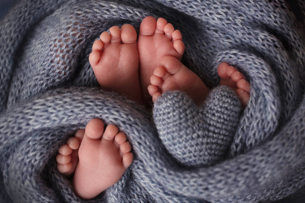 Füße von drei Neugeborenen in einer weichen Decke. Herz in den Beinen neugeborener Drillinge. Studiofotografie. - Foto, Bild