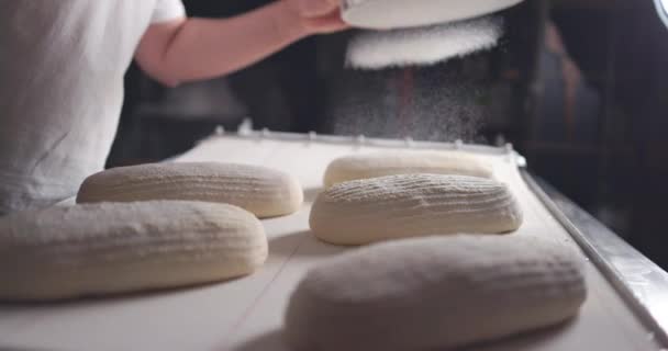 Piekarz pieczenia chleba z zakwaśnego z naturalnych składników. Ręce przesiewa mąka nad surowe bułki, slow motion 4k materiał - Materiał filmowy, wideo