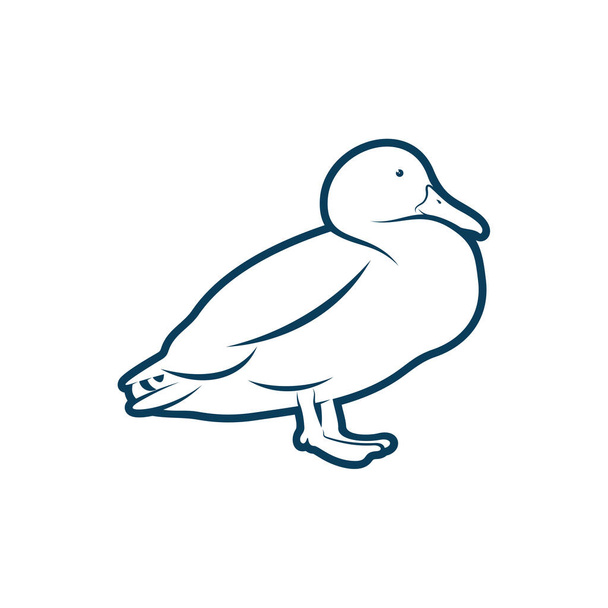Anatra disegno vettoriale illustrazione, Creative Duck logo modello di concetto di progettazione, simboli icone - Vettoriali, immagini
