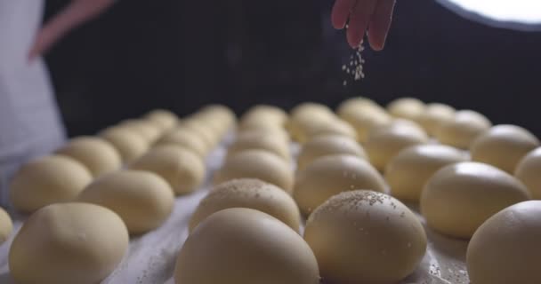 Chleb bułki do pieca w piekarni blisko. Piekarz przesiewa nasiona sezamu. Chleb kwaśny gotowy do wypieku, materiał 4K - Materiał filmowy, wideo