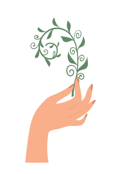 Hand holding a plant. Concept illustration of ecology, protecting the planet, healthy eating, meditation and massage emblem. Flat cartoon vector illustration isolated on white background. - ベクター画像