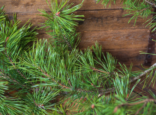 Pine branches with green needles close-up. Lie on a wooden brown table.  - Photo, Image
