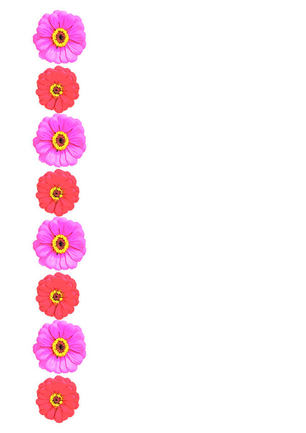 Letní světlé rámy květinových motivů - gerbera květiny. Obálka pro knihu nebo poznámkový blok, pohlednice. Formát A4 je svislý. Ilustrace na bílém pozadí - Vektor, obrázek