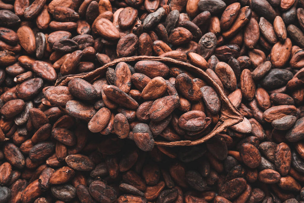 Cocoa beans as background, closeup - Fotografie, Obrázek