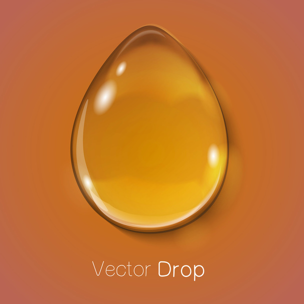 Vegetable oil drop. - Vector, afbeelding
