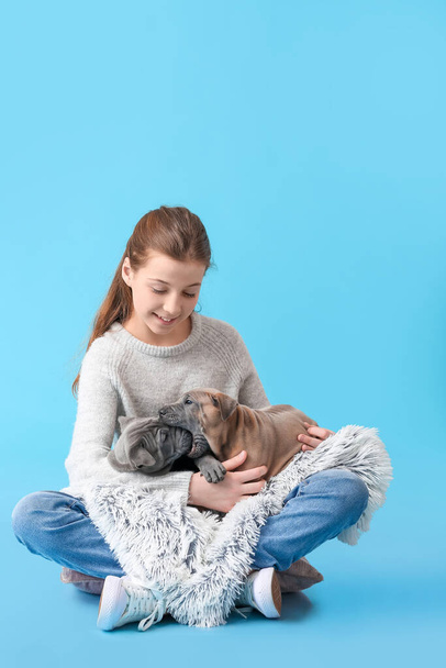 Cute girl with puppies on color background - Photo, Image