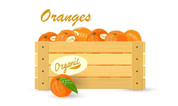Zacht smakelijke biologische mandarijnen - Vector, afbeelding