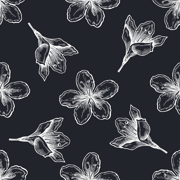 Seamless pattern with hand drawn chalk plum flowers - Vecteur, image