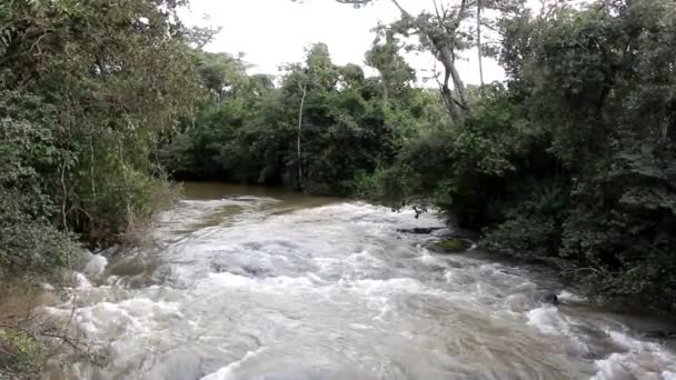 Река в джунглях - Кадры, видео