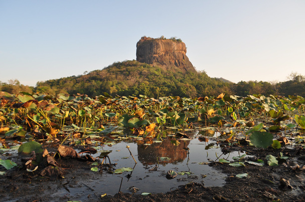 Sigiriya aslan kaya Kalesi sri Lanka - Fotoğraf, Görsel
