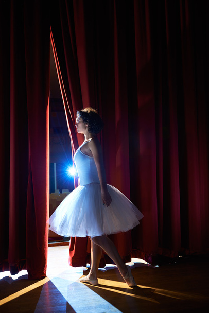 женщина как классическая танцовщица смотрит на стойла перед балетом
 - Фото, изображение