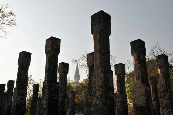 Piliers dans la ville antique de Polonnaruwa, Sri Lanka
 - Photo, image