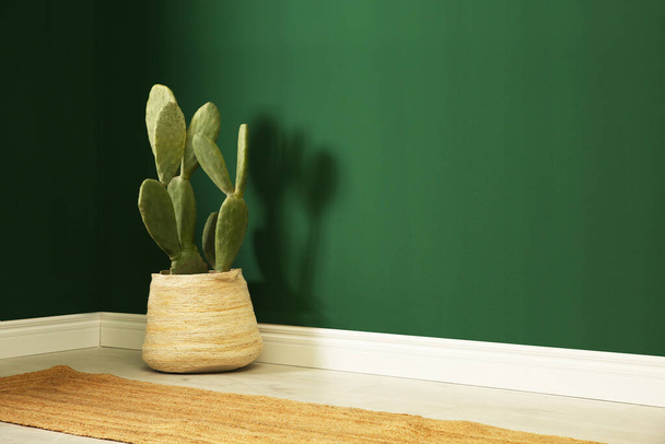 Cactus en maceta cerca de la pared verde en el interior. Espacio para texto - Foto, imagen