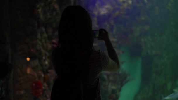 Een jonge vrouw in het oceanarium neemt foto 's van het zeeleven aan de telefoon. Het meisje kijkt naar de zwemmende vis. - Video
