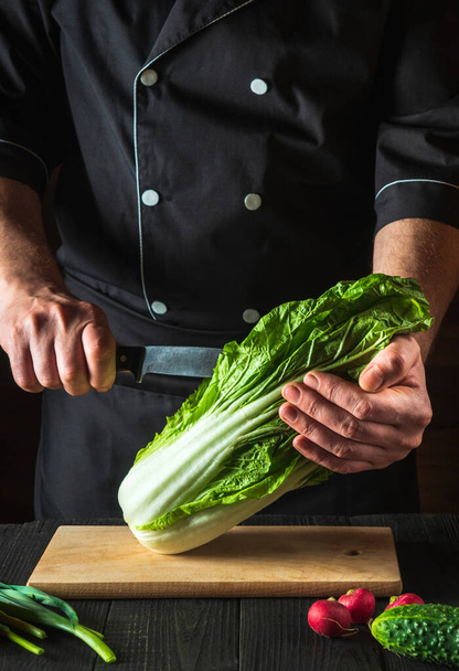 Chef or cook cuts fresh napa cabbage with a knife for salad on a vintage kitchen table with fresh vegetables. Cooking and restaurant or cafe concept - Foto, imagen