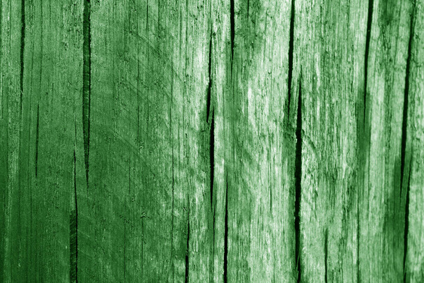 Partie de bois courbée sur chêne dans le ton vert. Contexte naturel et texture. - Photo, image