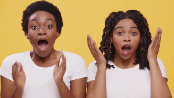 Две взволнованные африканские американские женщины, испытывающие шок и удивление, трогают щеки с открытыми ртами в изумлении - Кадры, видео
