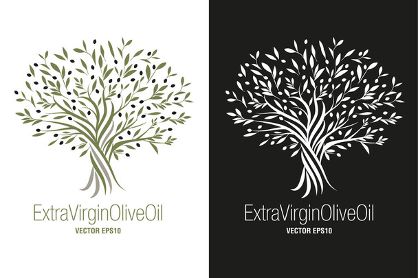 Olivový strom. Extra symbol panenského olivového oleje. Symbol kultury a středomořské potraviny izolované na bílém pozadí - Vektor, obrázek