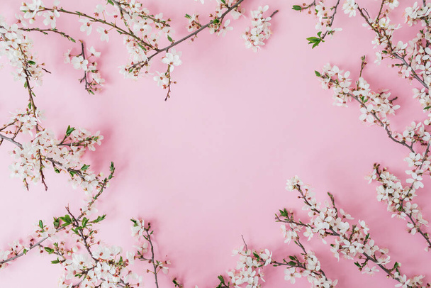 Kwiatowa rama wiosennych kwiatÃ ³ w odizolowanych na miÄ kkim różowym tle. Płaskie łóżko, widok z góry. Tło okresu wiosennego. - Zdjęcie, obraz