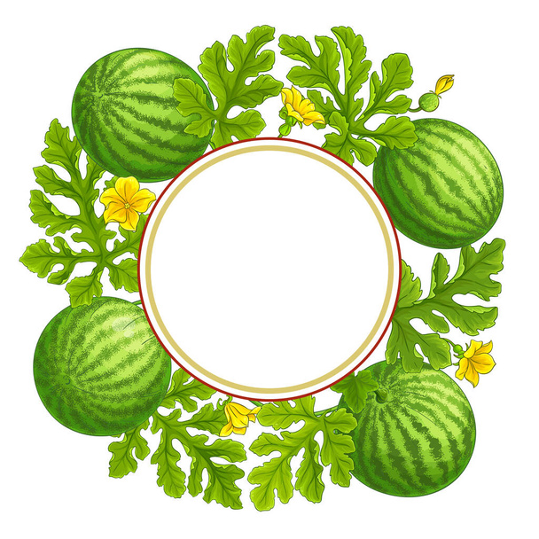 watermelon frame on white background - Vecteur, image