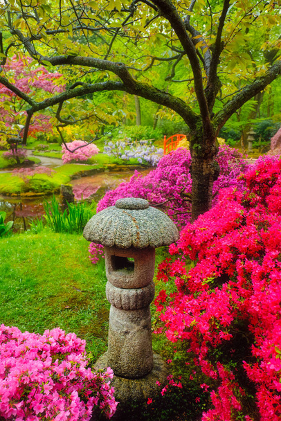 日本庭園、公園クリンゲンダール、ハーグ、オランダ - 写真・画像